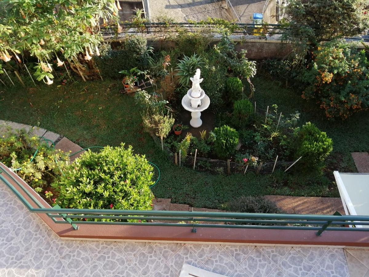 Apartamentos Jardim 丰沙尔 外观 照片